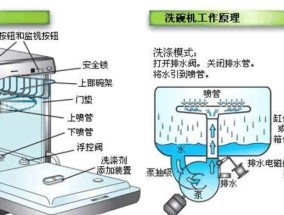 饮水机水发臭的原因及解决方法（揭秘饮水机水发臭的真相）