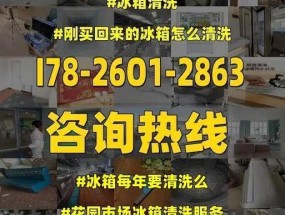 冰箱清洗剂的正确使用方法（有效清洁冰箱）