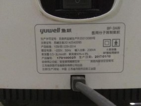 约克热水器A5故障及维修方法（探究约克热水器A5故障的原因和可行的维修方法）