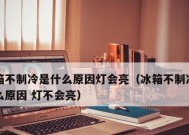 冰箱灯的作用及其重要性（冰箱灯的功能和效益分析）