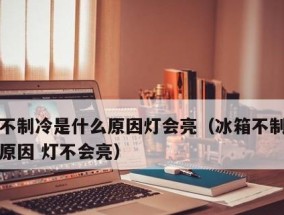 冰箱灯的作用及其重要性（冰箱灯的功能和效益分析）