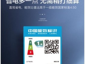 如何选择适合打开dat文件的播放器（探索不同播放器的dat文件兼容性）