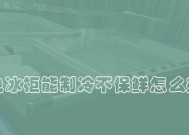 冰柜不冷藏的原因及解决方法（分析冰柜不冷藏的可能原因以及如何解决）