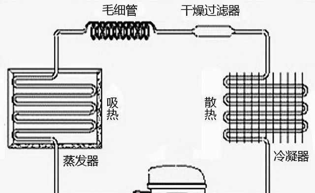 快速除霜法（快速除霜法及防止冰箱结霜的实用技巧）  第1张